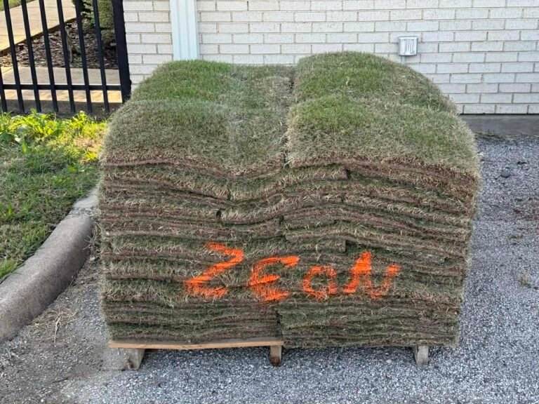 592347099_1175039037581866_122980818198697541_n