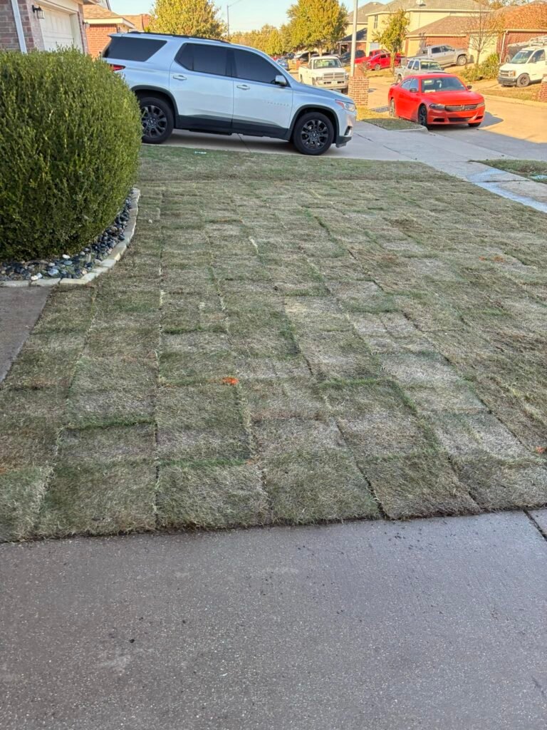 597135916_24895121543517882_8776833673357960535_n