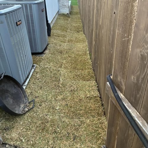 592118334_791524863925439_2111009100495481258_n