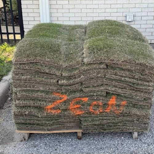 592347099_1175039037581866_122980818198697541_n