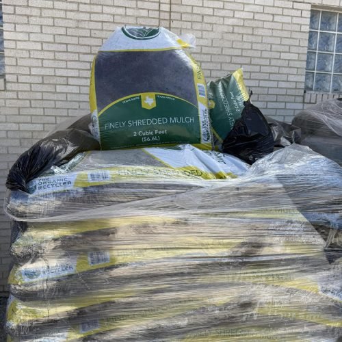 594398240_1541979050227830_7258995900238186787_n