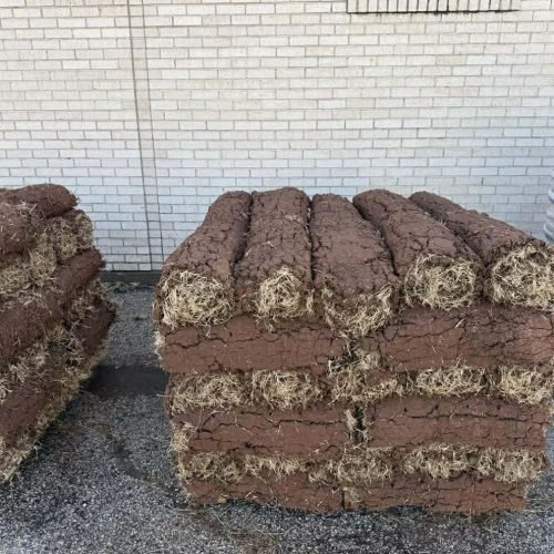 594969647_2335221103591302_8580219842899175398_n