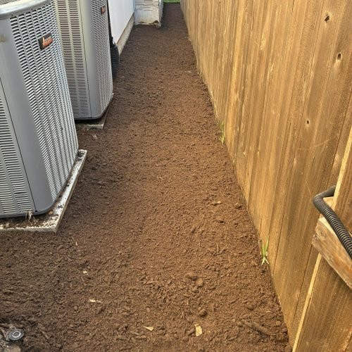 597155441_1401443898229043_476127353681436722_n