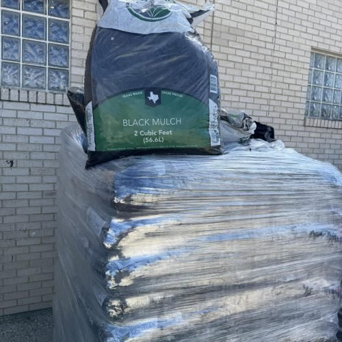 597293663_1181778966836447_3160716983993518426_n