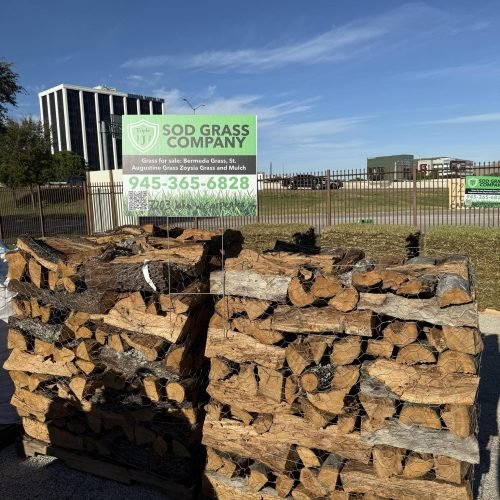 597318598_749117834191161_1000010861247934882_n