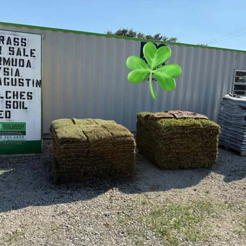 597349795_1958986191351999_8001744544727461318_n