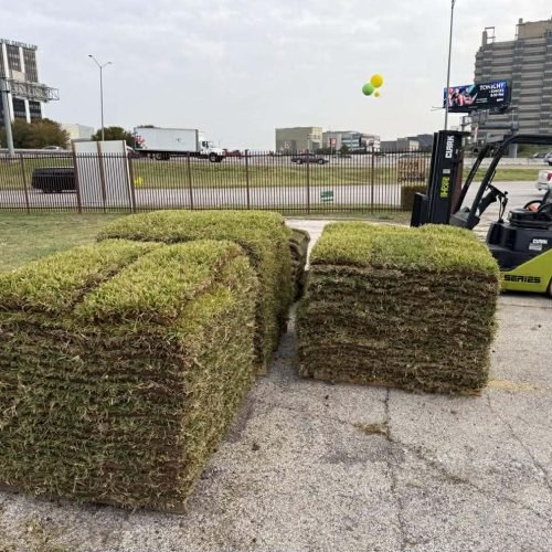 597388530_777682828659851_6935619606691142146_n