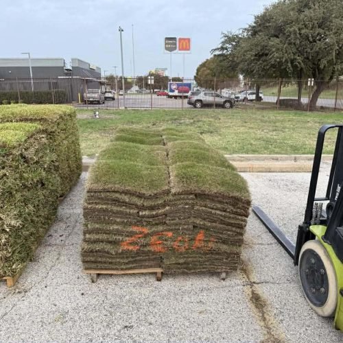 597440313_2293487431162708_5623468151880247813_n