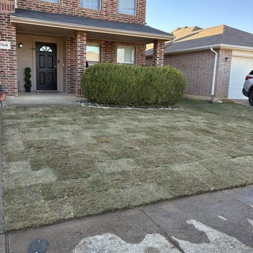 598698525_24670122979328718_5382471867688601300_n